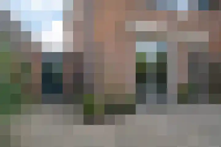 Galjoen 9 Franeker thumbnail 36