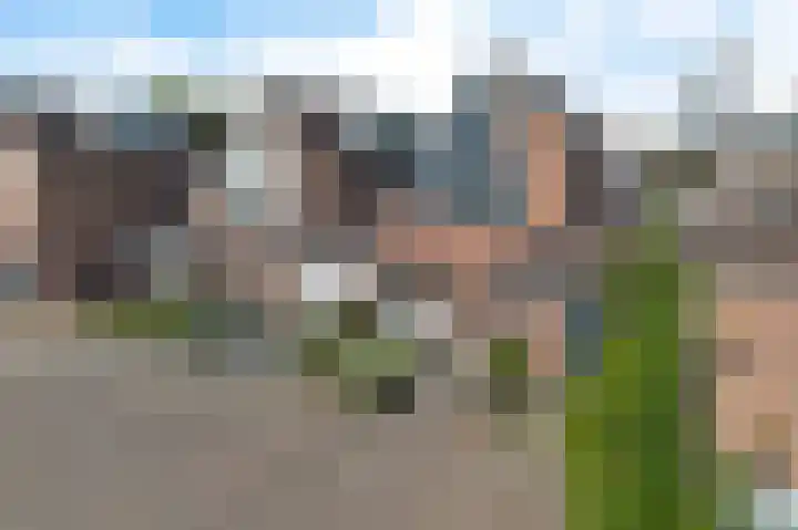 Galjoen 9 Franeker thumbnail 38