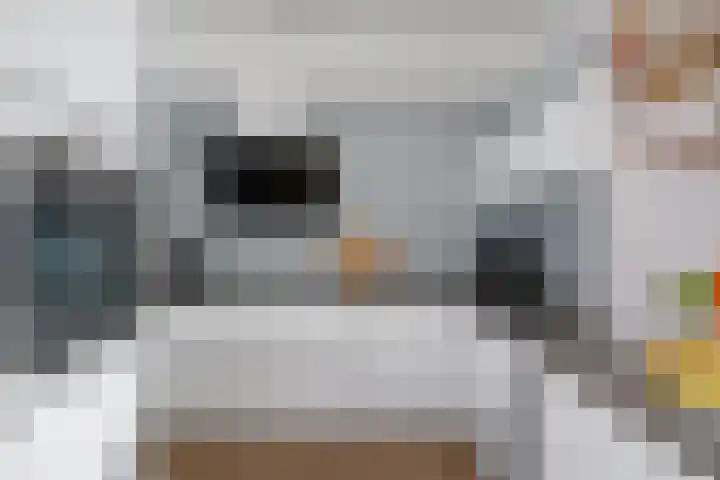 Galjoen 9 Franeker thumbnail 6