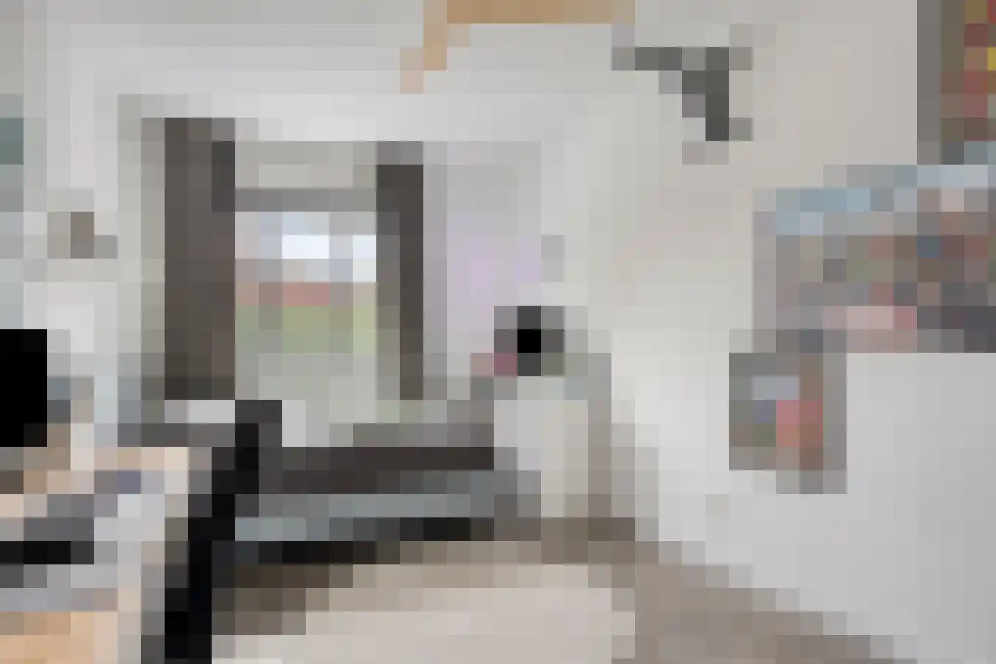 Galjoenerf 3 Tilburg thumbnail 16