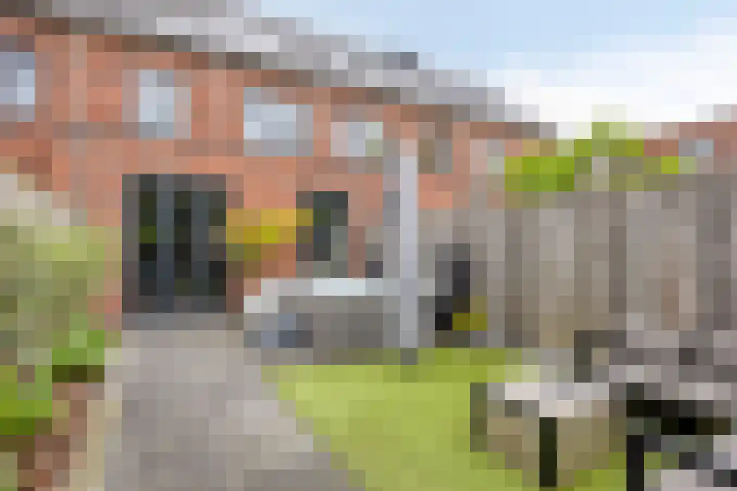 Galjoenerf 3 Tilburg thumbnail 28