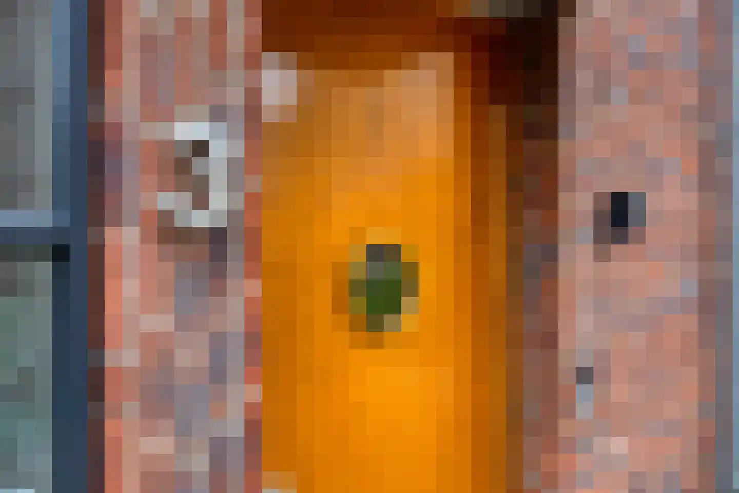 Galjoenerf 3 Tilburg thumbnail 30