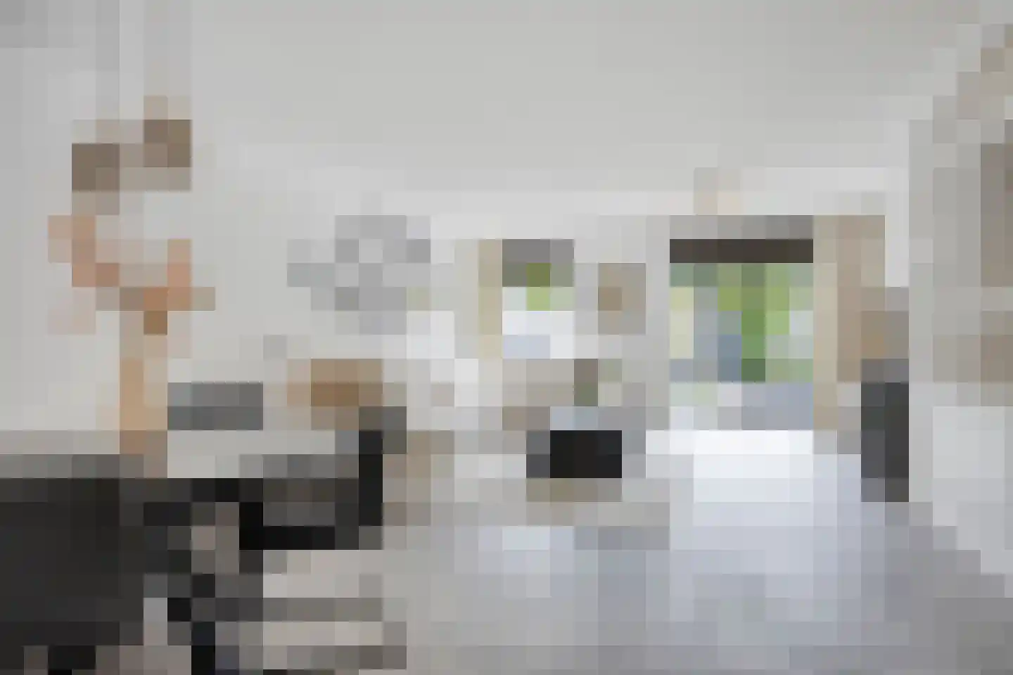Galjoenerf 3 Tilburg thumbnail 4