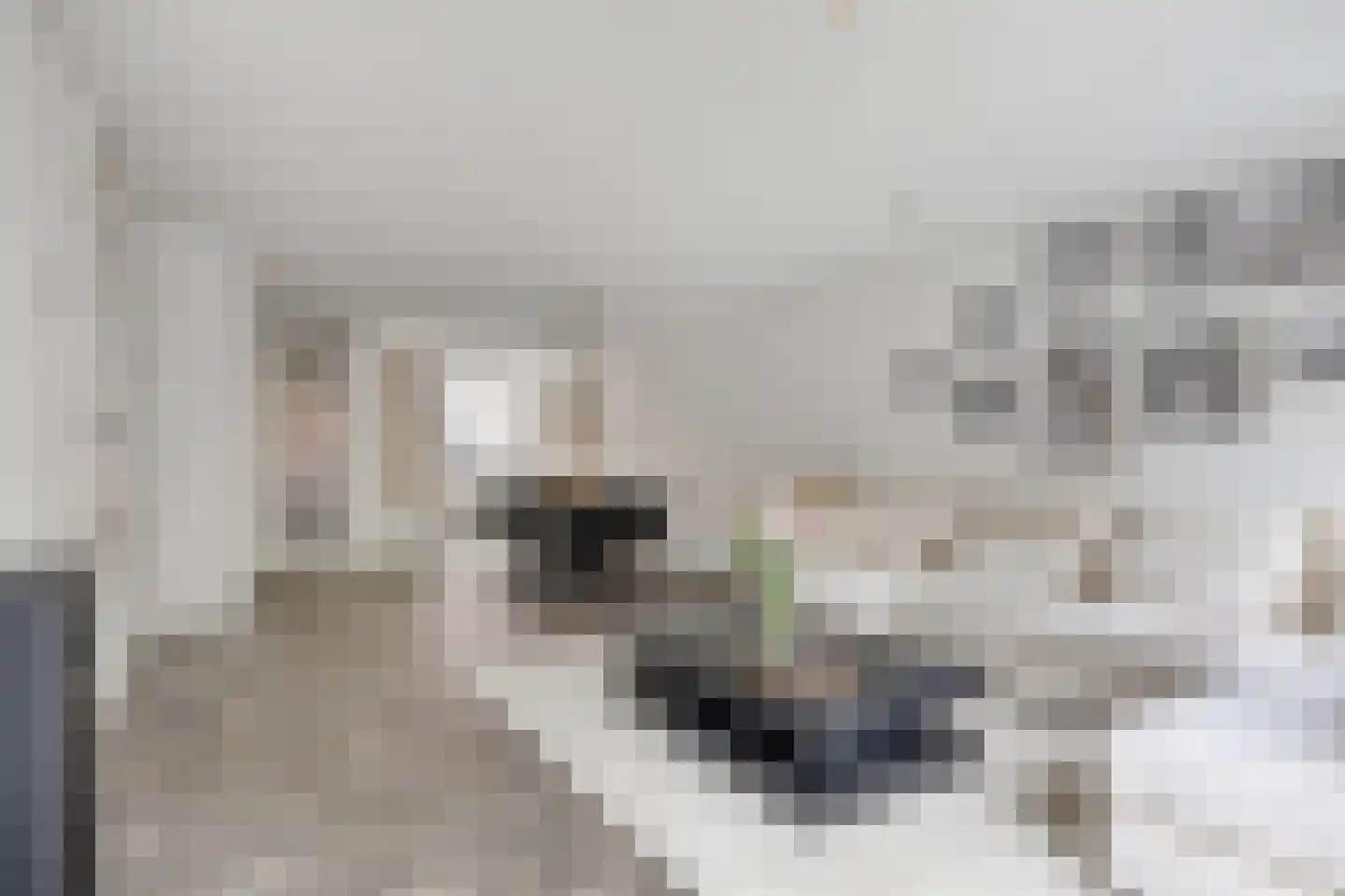 Galjoenerf 3 Tilburg thumbnail 5