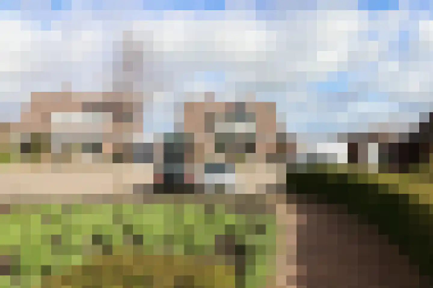 Galjoenhof 17 Harlingen