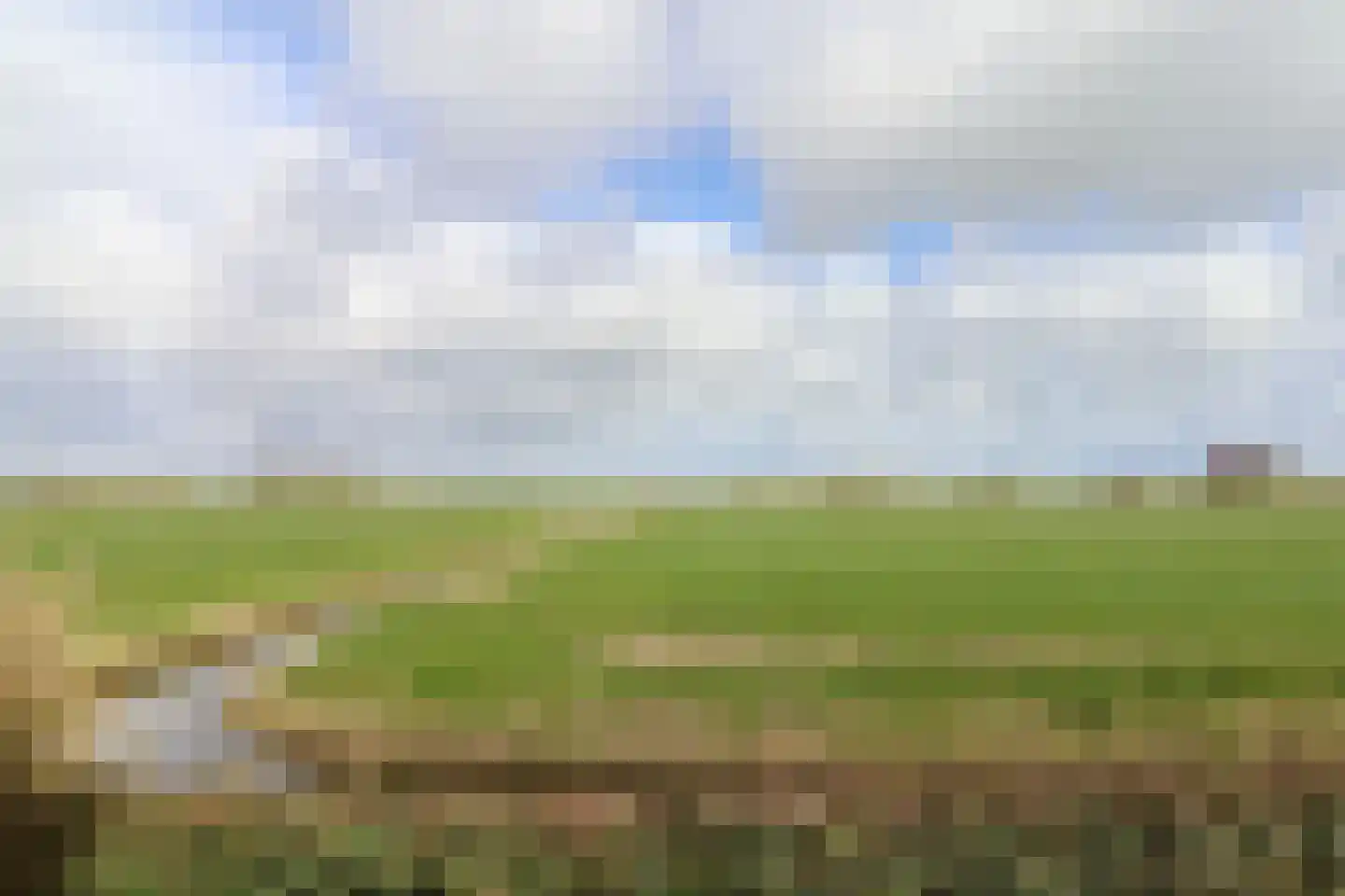 Galjoenhof 17 Harlingen thumbnail 38