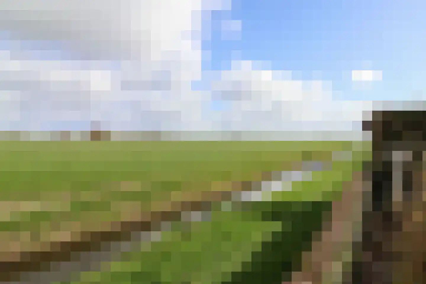 Galjoenhof 17 Harlingen thumbnail 39