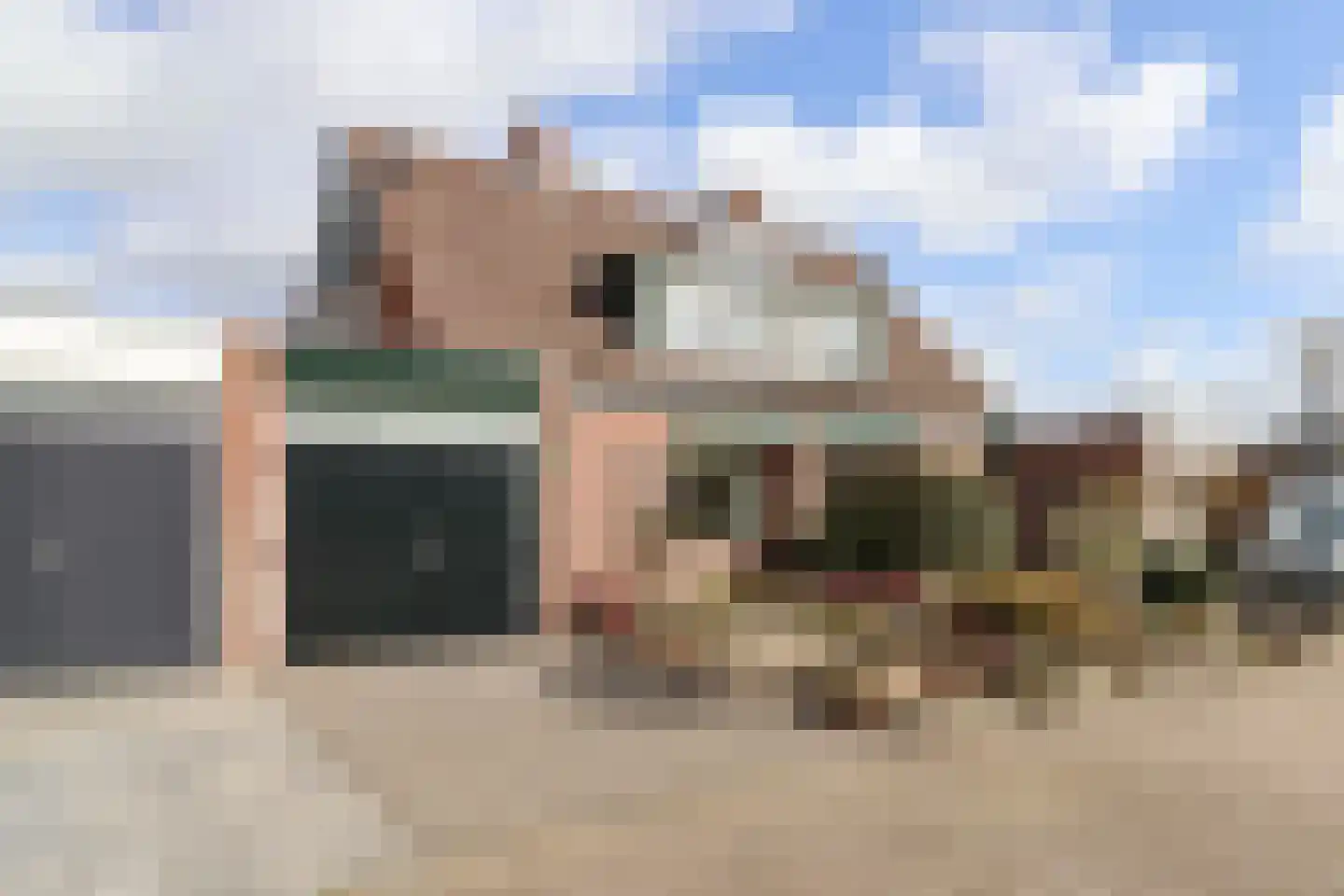 Galjoenhof 17 Harlingen thumbnail 45