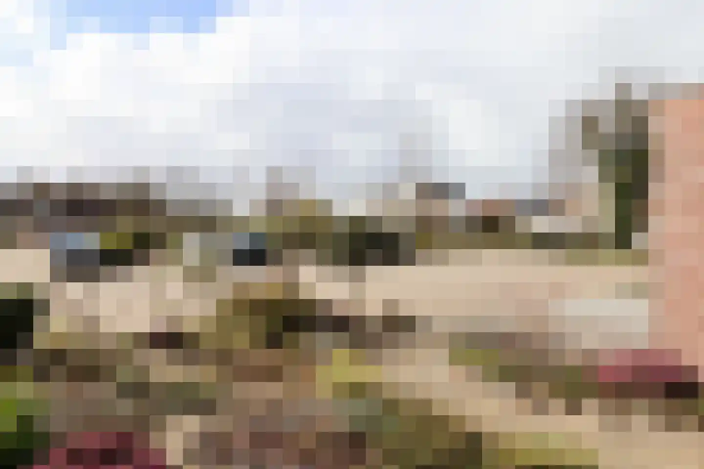 Galjoenhof 17 Harlingen thumbnail 8