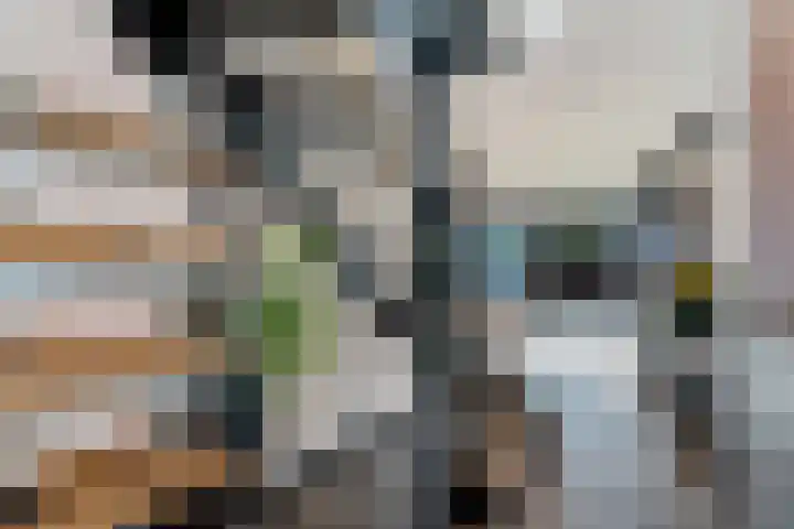 Galjoenkade 17 Zoetermeer thumbnail 23