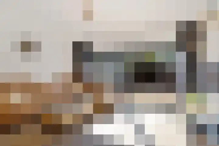 Galjoenkade 17 Zoetermeer thumbnail 24
