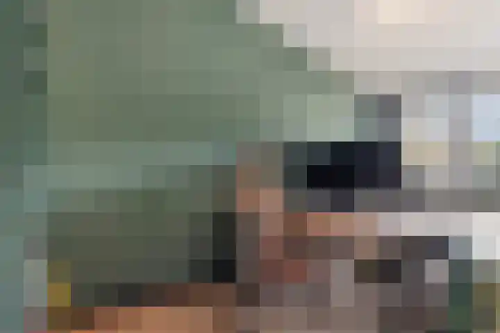 Galjoenkade 17 Zoetermeer thumbnail 41
