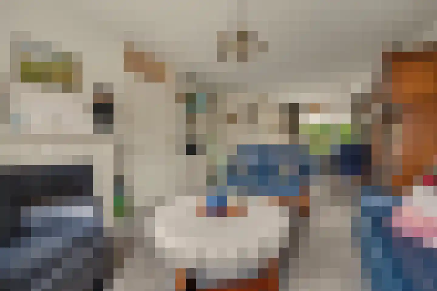 Galjoenstraat 10 Yerseke thumbnail 10