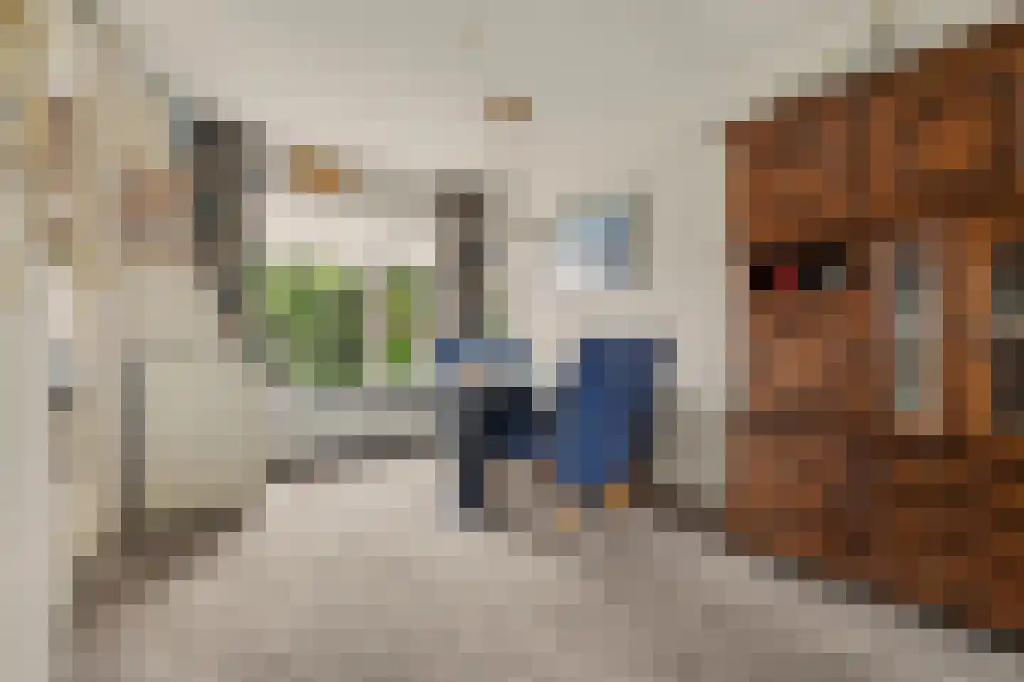 Galjoenstraat 10 Yerseke thumbnail 11
