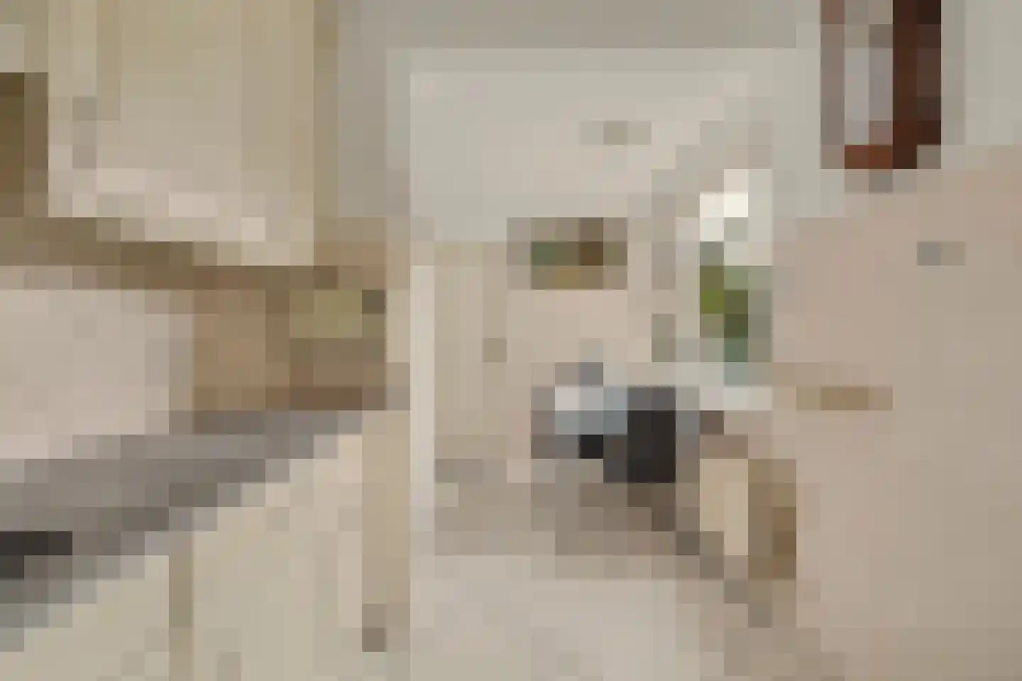Galjoenstraat 10 Yerseke thumbnail 13