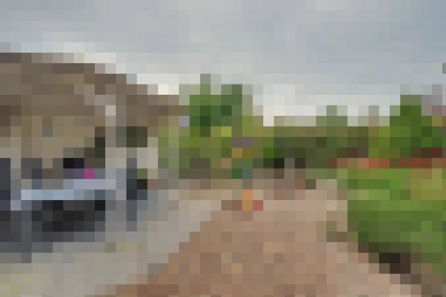 Galjoenstraat 10 Yerseke thumbnail 33