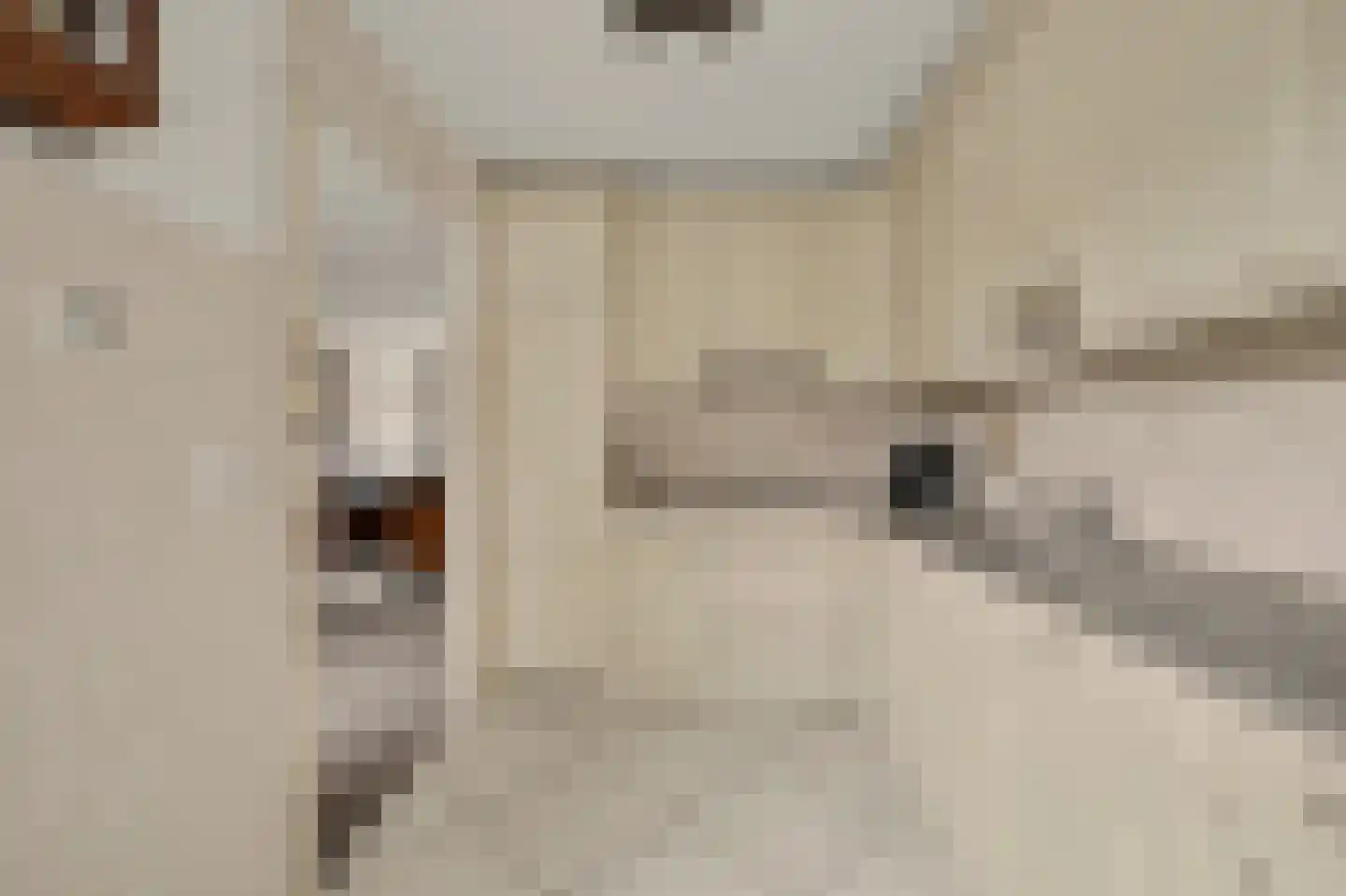 Galjoenstraat 10 Yerseke thumbnail 5