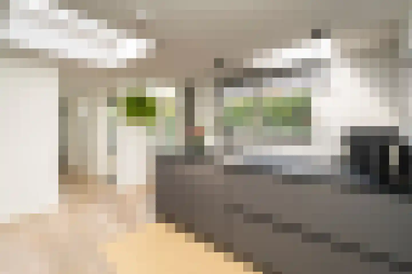 Galjoenstraat 112 Tilburg thumbnail 12
