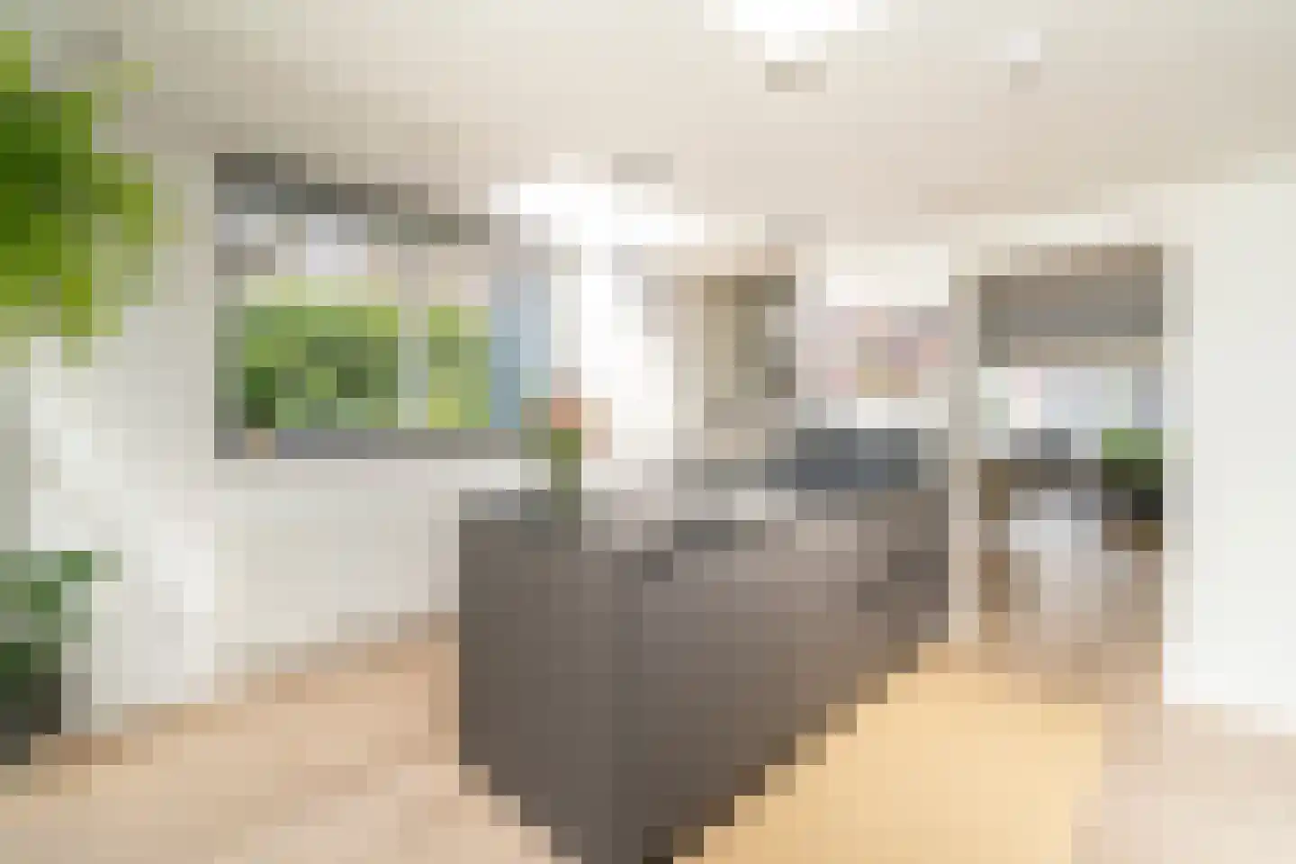 Galjoenstraat 112 Tilburg thumbnail 13