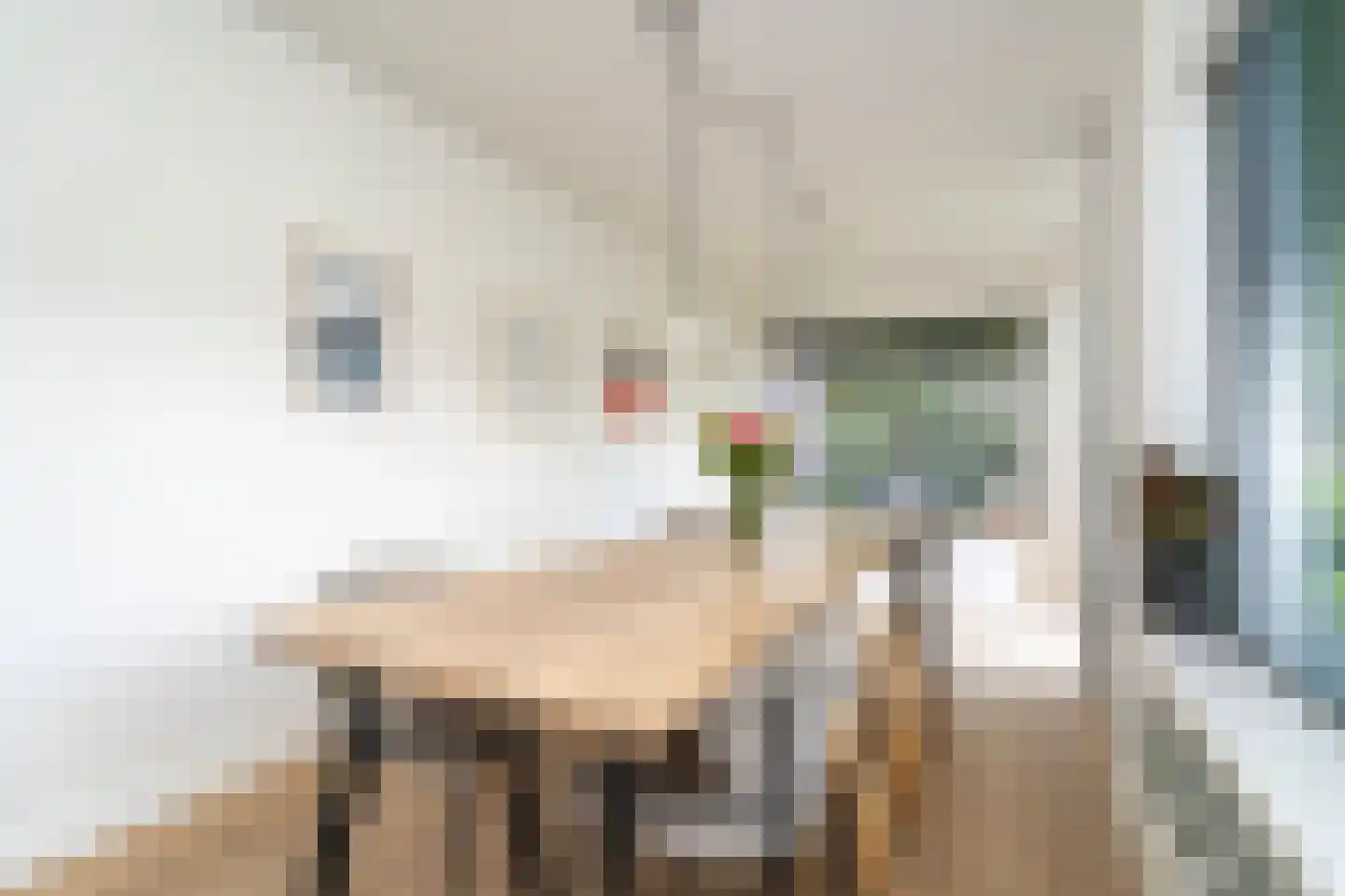 Galjoenstraat 112 Tilburg thumbnail 17