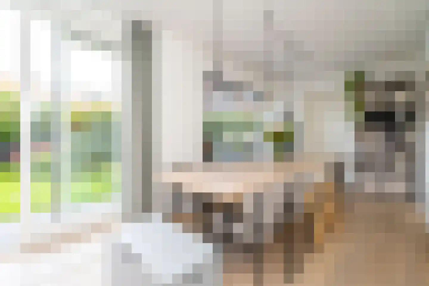 Galjoenstraat 112 Tilburg thumbnail 18