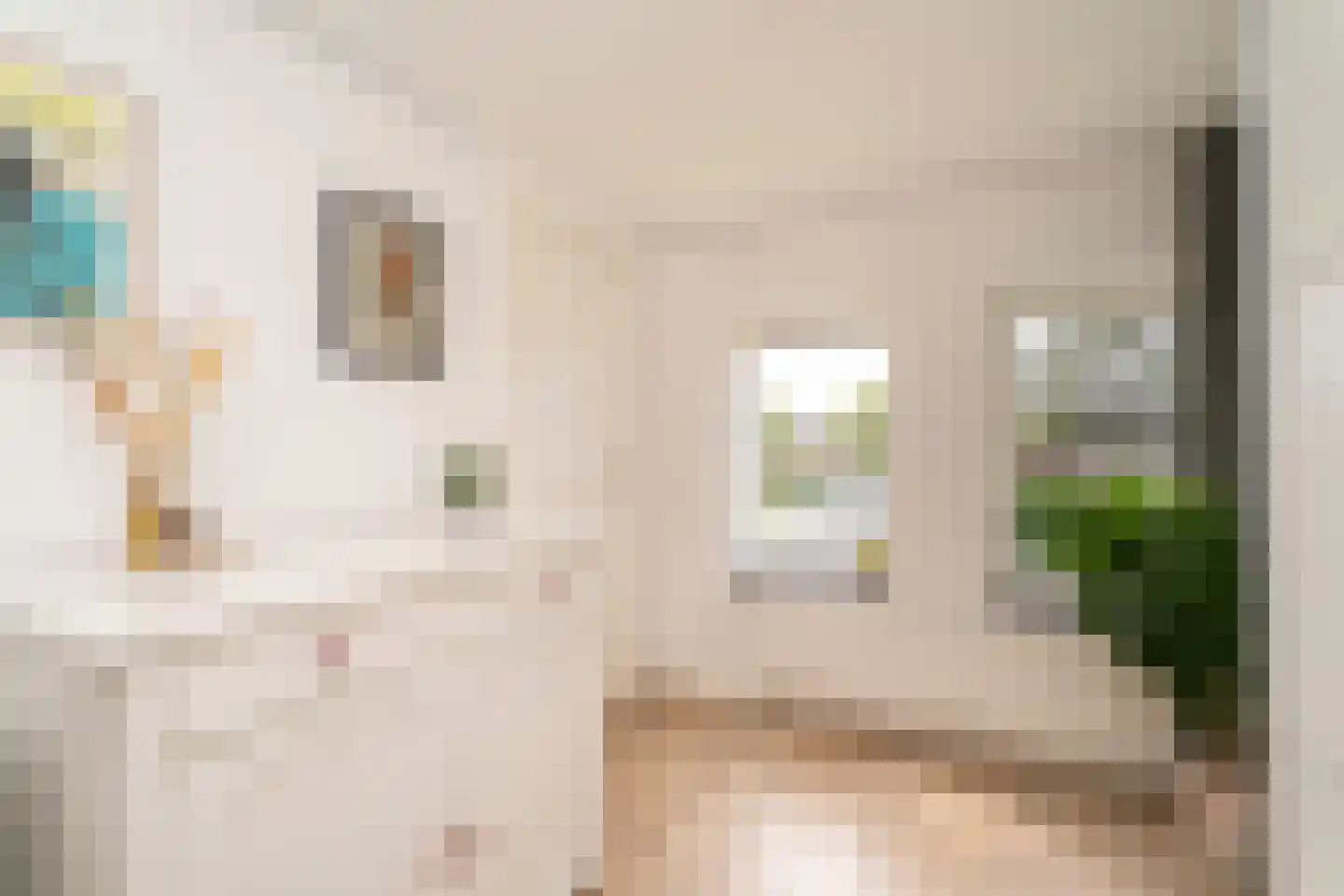 Galjoenstraat 112 Tilburg thumbnail 21