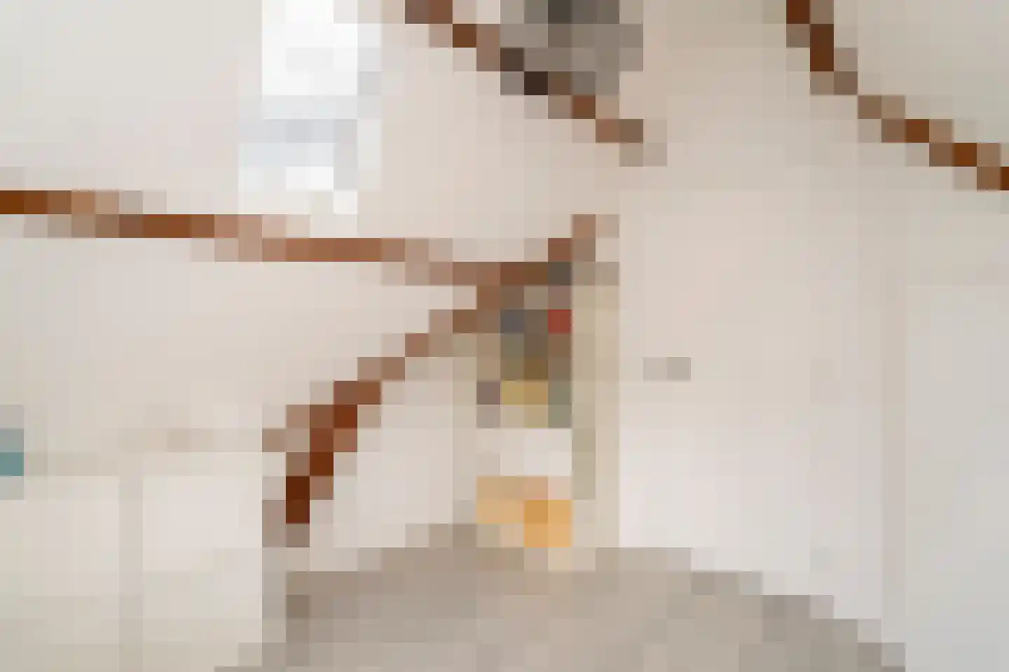Galjoenstraat 112 Tilburg thumbnail 32