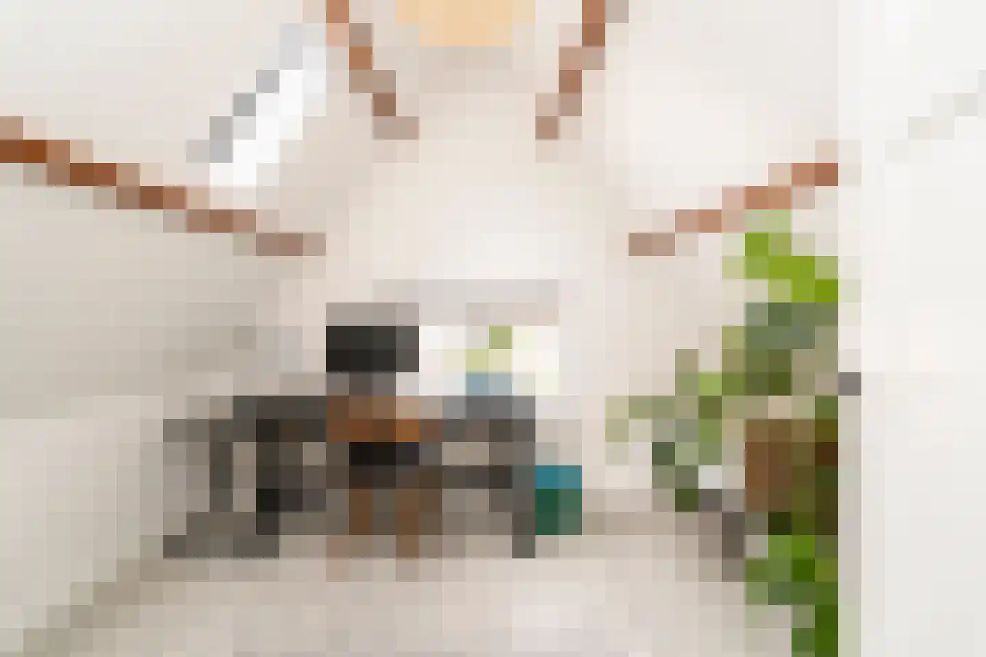 Galjoenstraat 112 Tilburg thumbnail 33