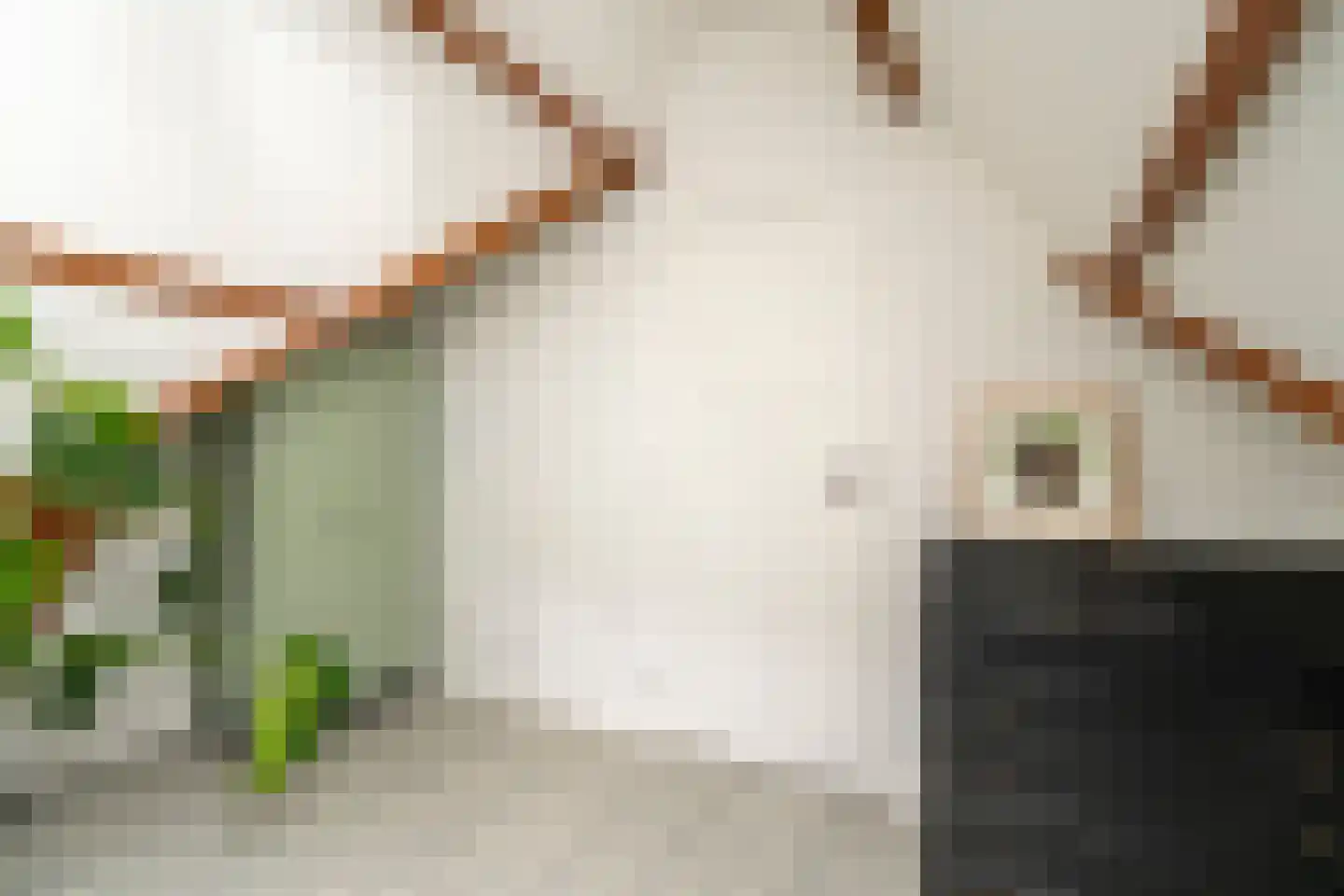 Galjoenstraat 112 Tilburg thumbnail 34