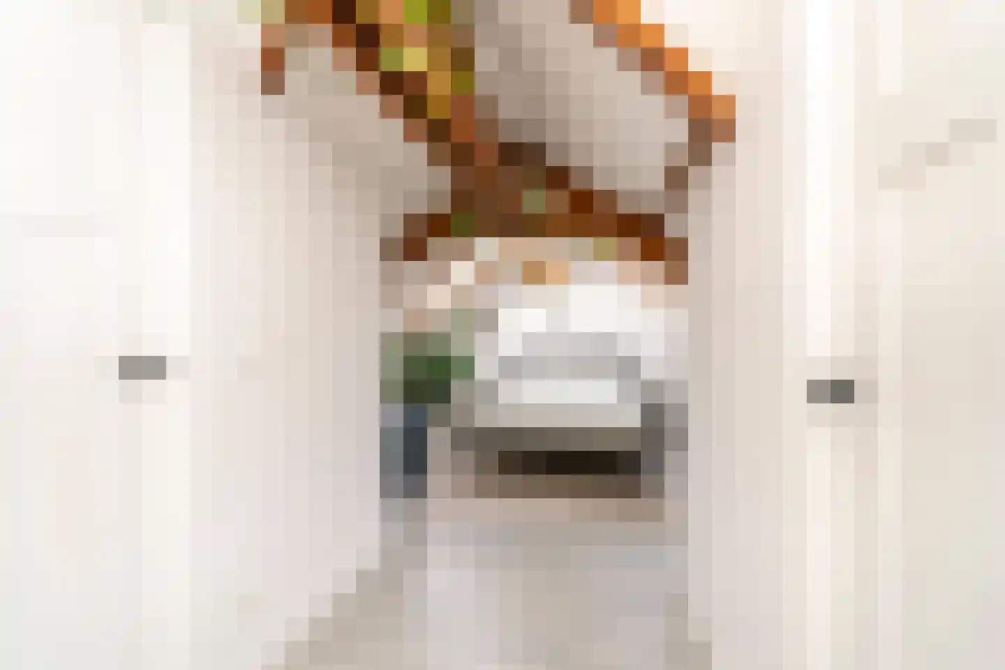 Galjoenstraat 112 Tilburg thumbnail 35