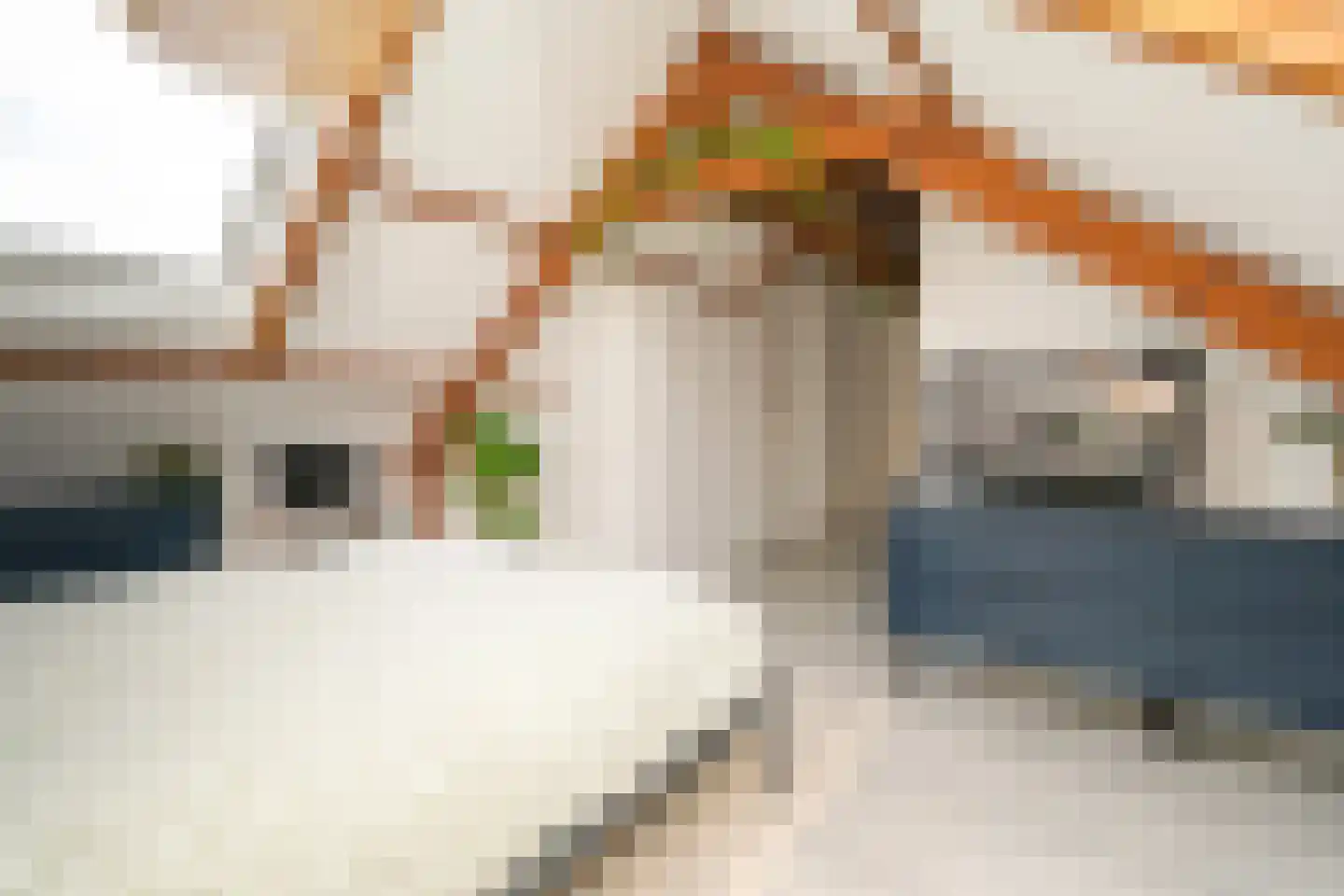 Galjoenstraat 112 Tilburg thumbnail 37