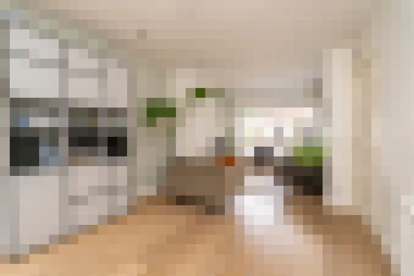 Galjoenstraat 112 Tilburg thumbnail 8