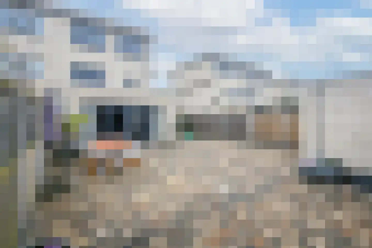 Galjoenstraat 13 Almere thumbnail 55