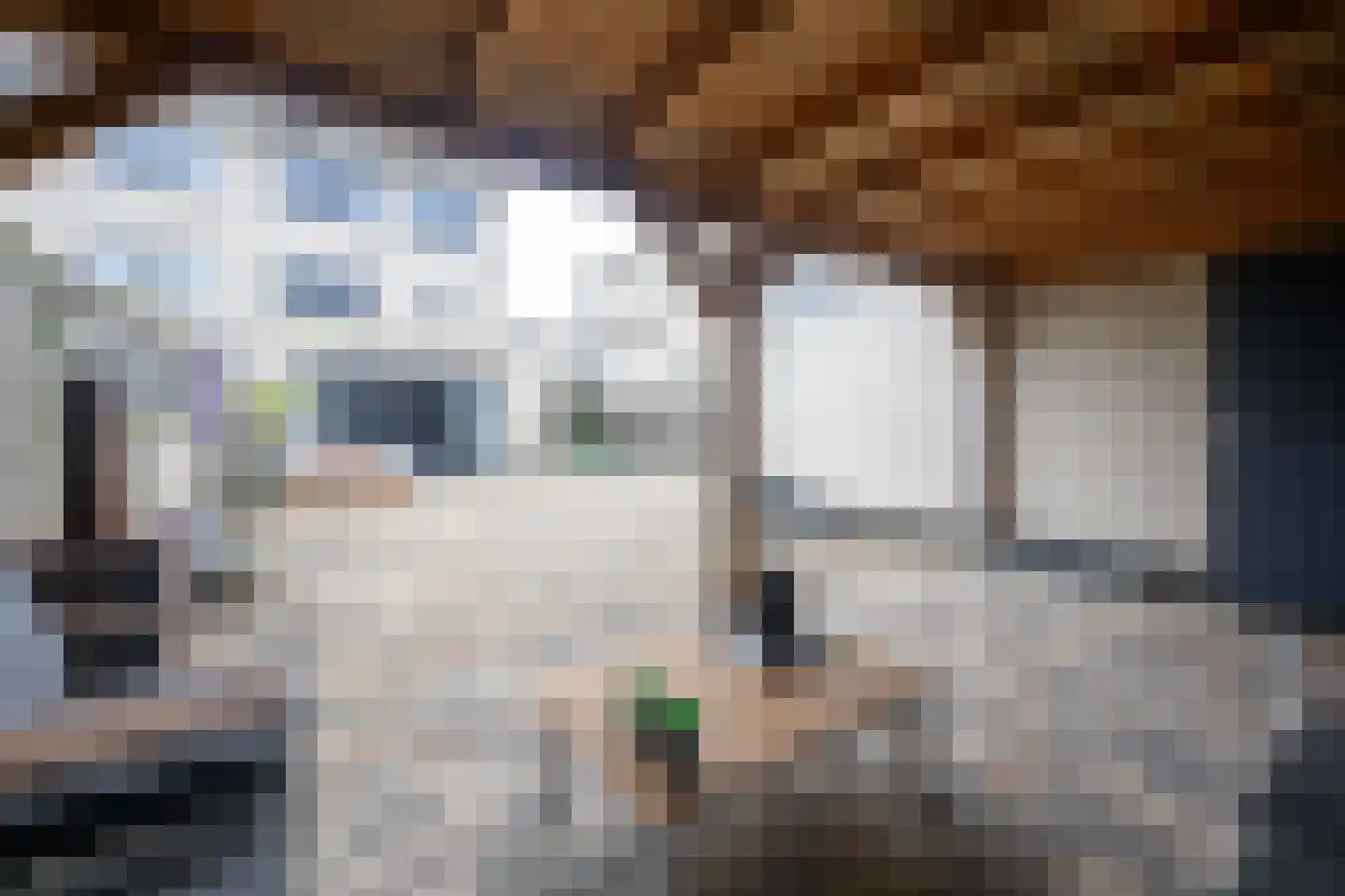 Galjoenstraat 13 Almere thumbnail 60