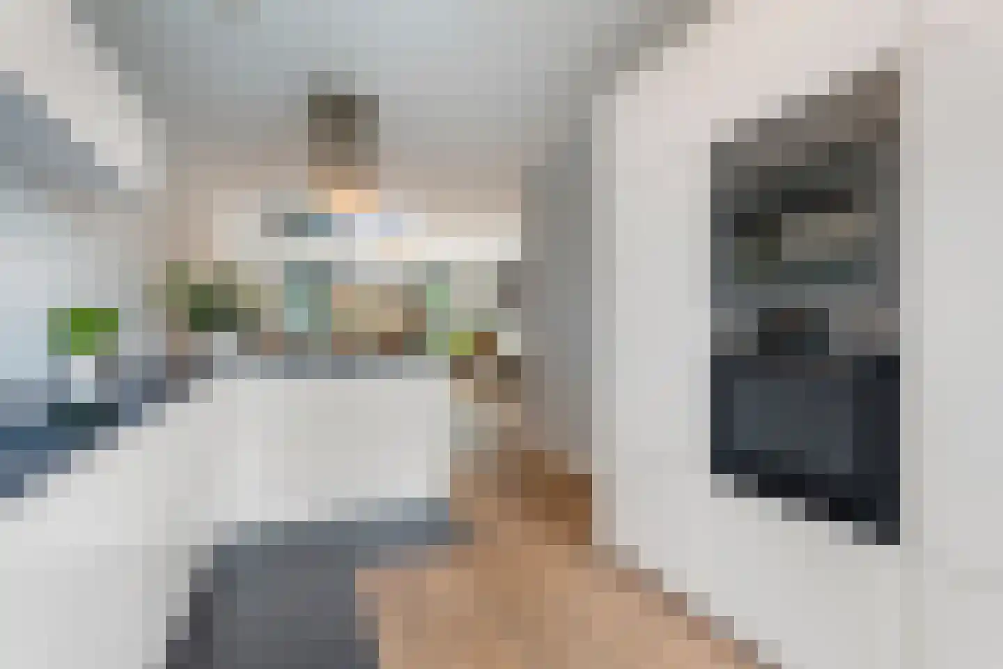 Galjoenstraat 20 Tilburg thumbnail 11