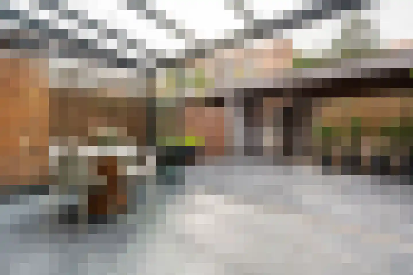 Galjoenstraat 20 Tilburg thumbnail 14