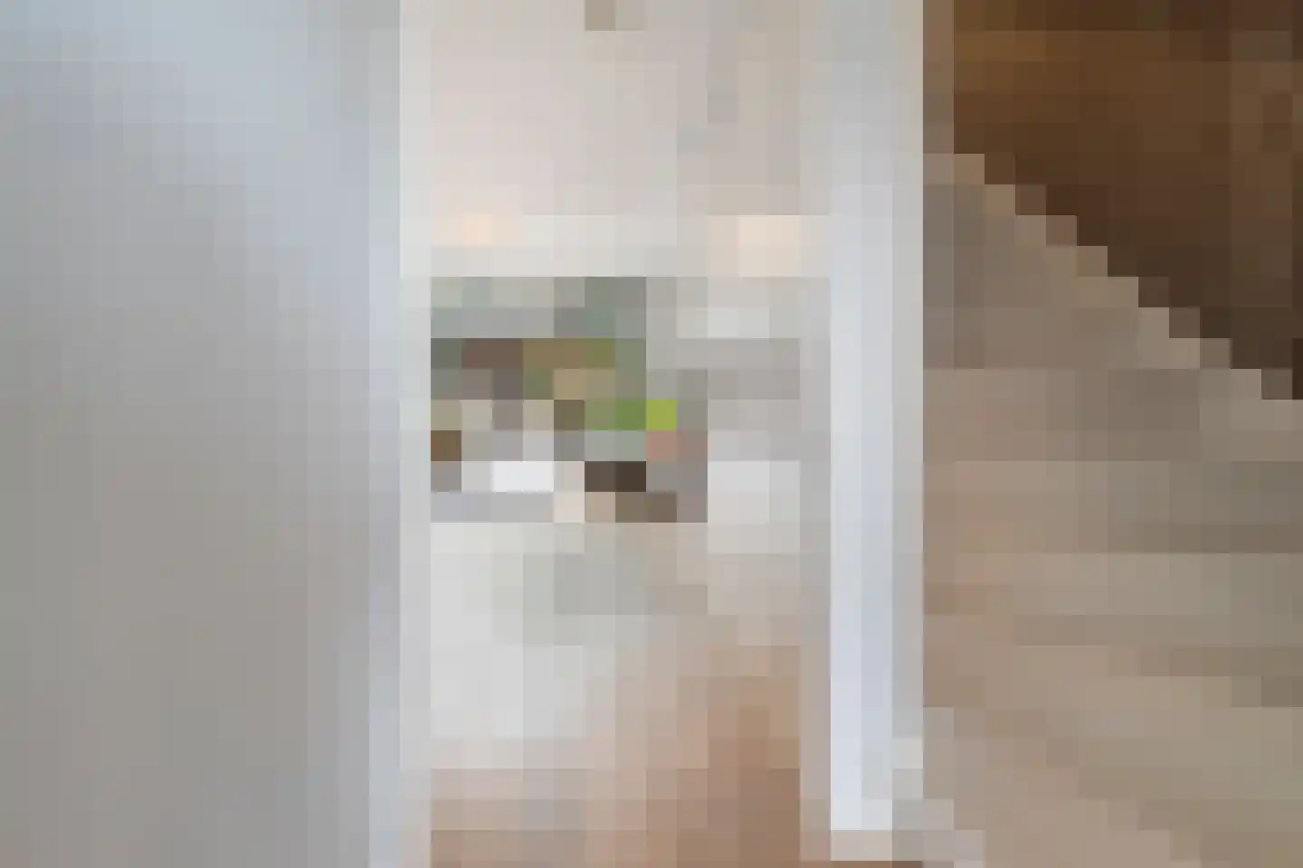Galjoenstraat 20 Tilburg thumbnail 17