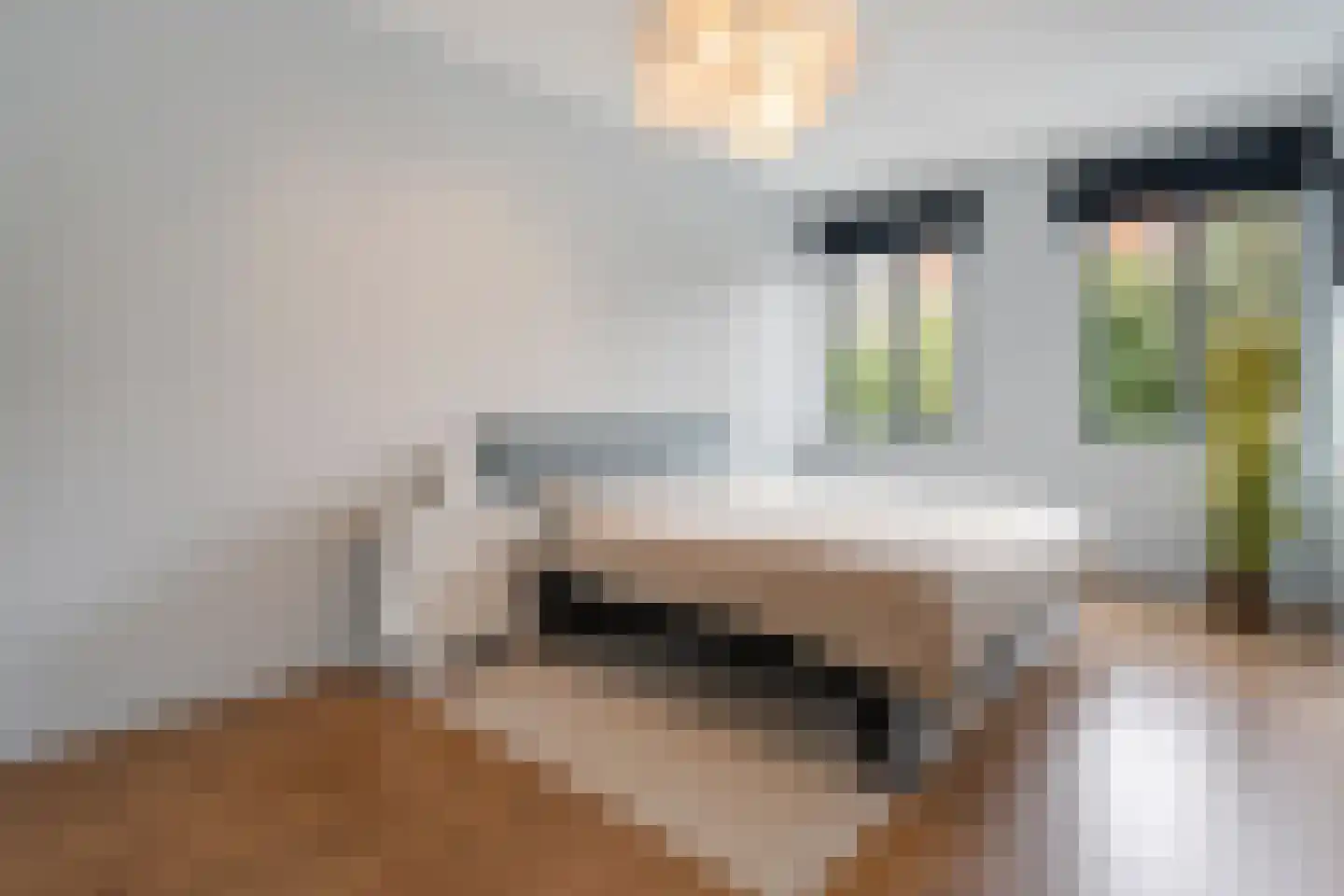 Galjoenstraat 20 Tilburg thumbnail 20
