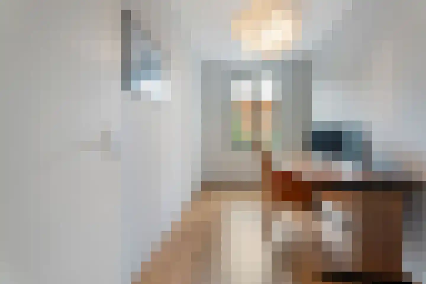 Galjoenstraat 20 Tilburg thumbnail 31