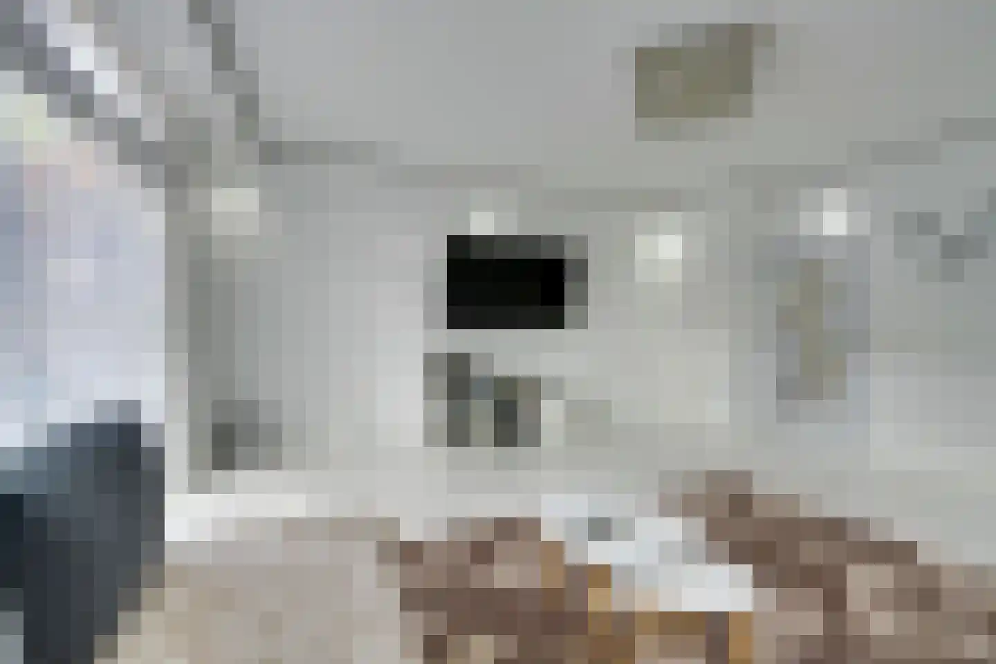 Galjoenstraat 27 Zaandam thumbnail 11