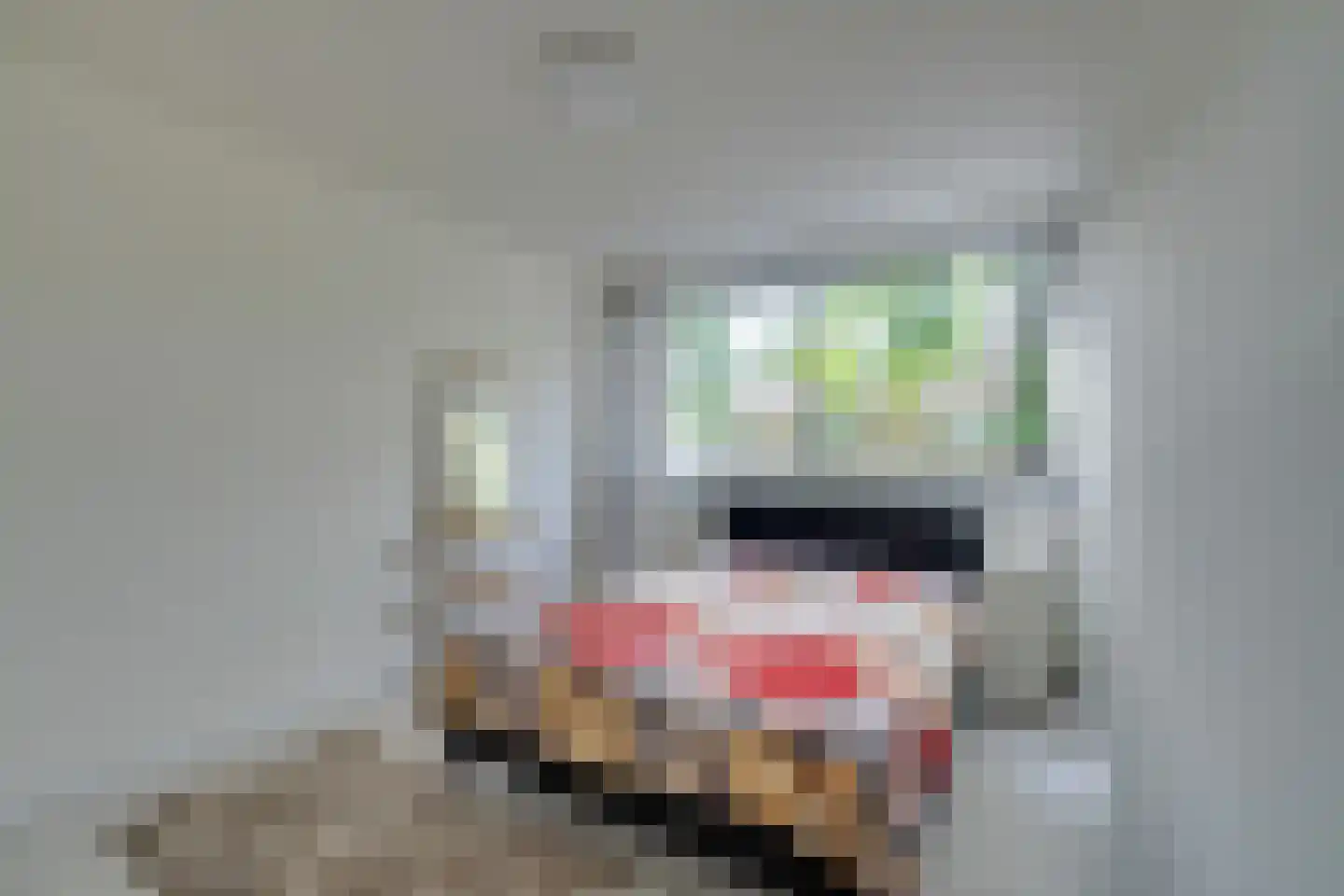 Galjoenstraat 27 Zaandam thumbnail 25