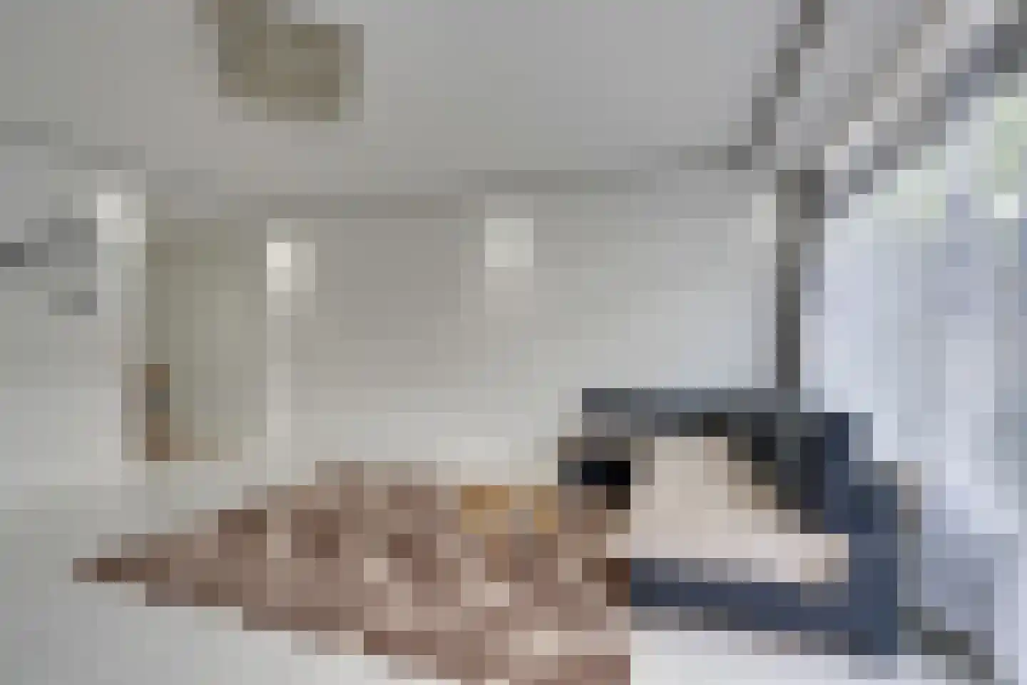 Galjoenstraat 27 Zaandam thumbnail 9