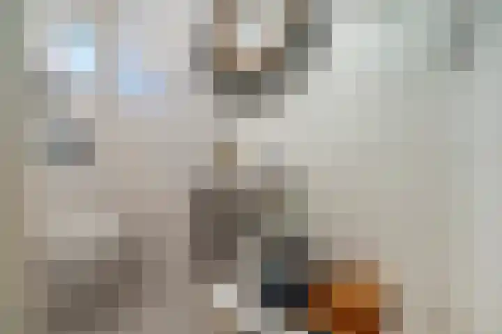 Galjoenstraat 3 Utrecht thumbnail 33