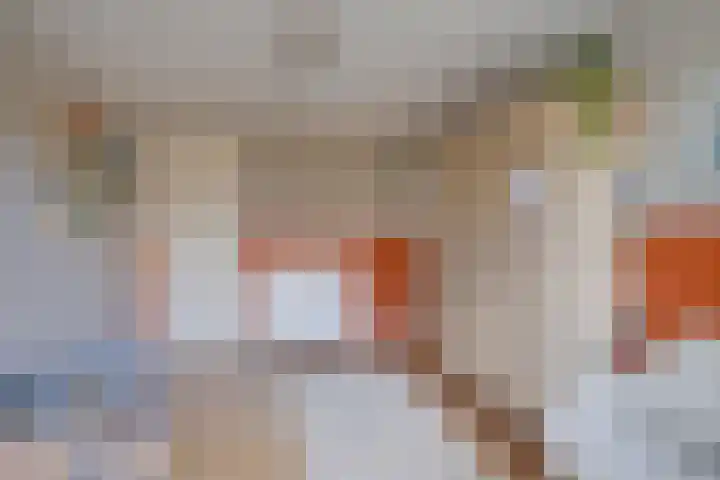 Galjoenstraat 3 Utrecht thumbnail 43