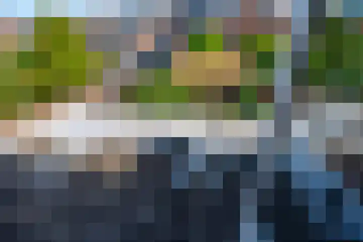 Galjoenstraat 3 Utrecht thumbnail 45