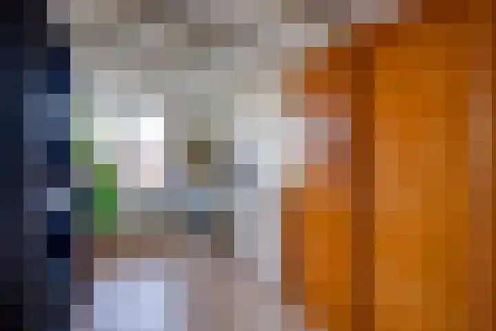 Galjoenstraat 3 Utrecht thumbnail 55