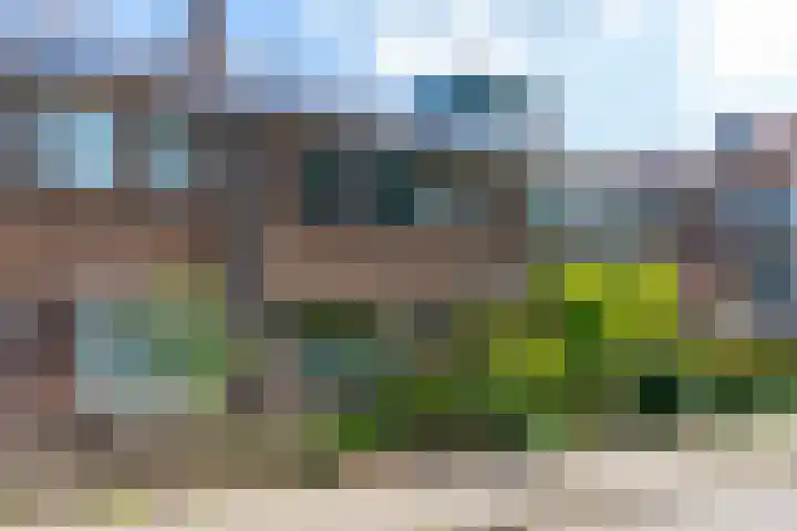 Galjoenstraat 3 Utrecht thumbnail 6