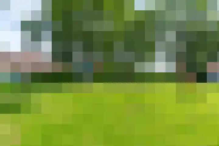 Galjoenstraat 3 Utrecht thumbnail 61