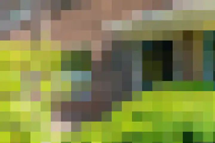Galjoenstraat 3 Utrecht thumbnail 7