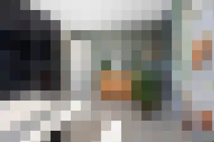 Galjoenstraat 51 Den Helder thumbnail 32